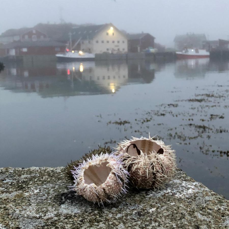 Laukvik Suites Eksteriør billede