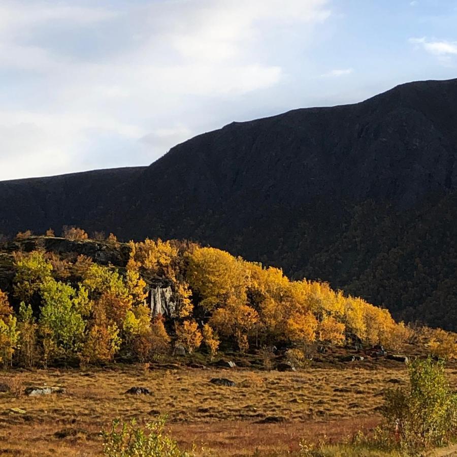 Laukvik Suites Eksteriør billede